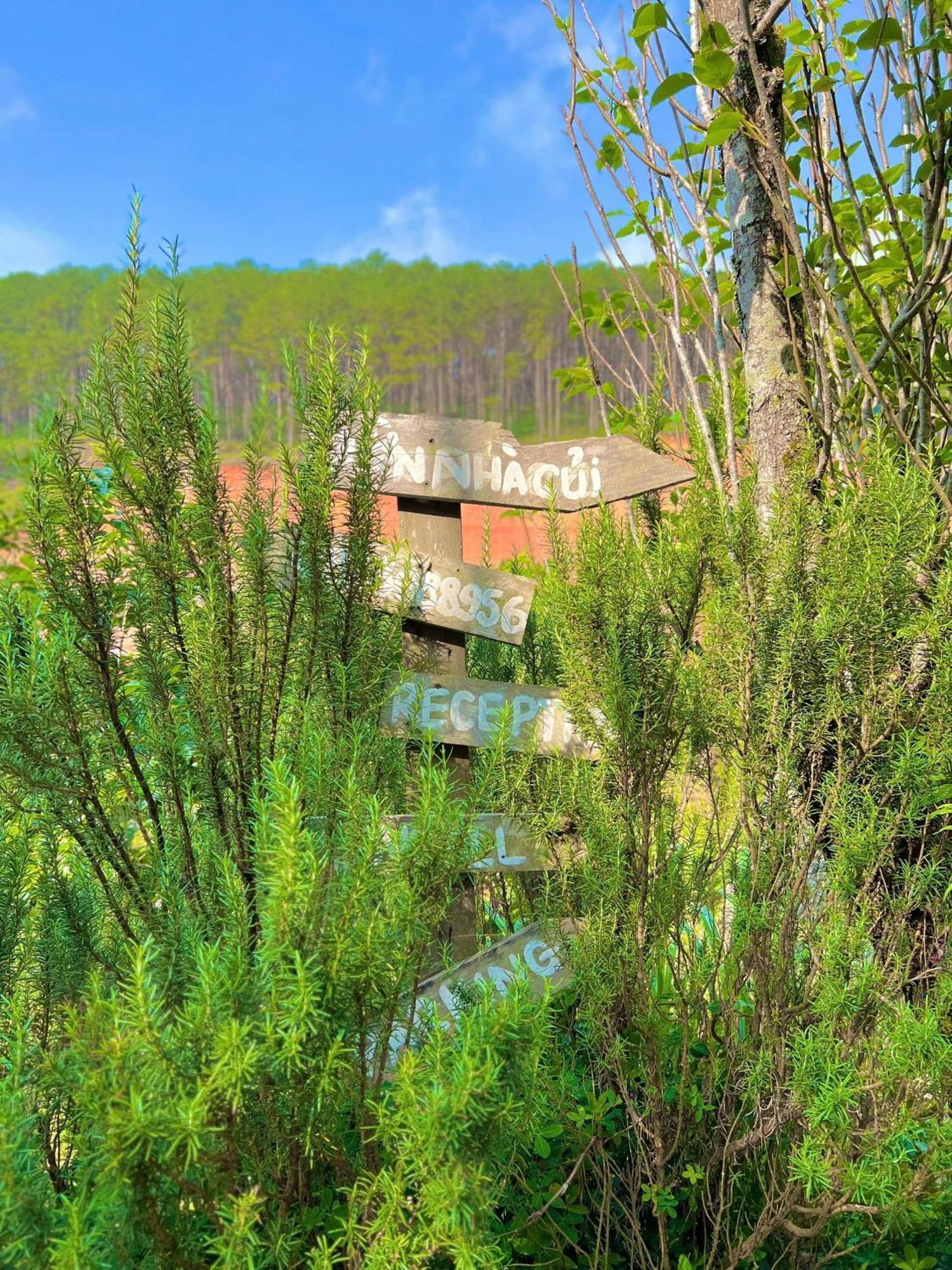Vườn Nhà Củi Da Lat Exterior foto