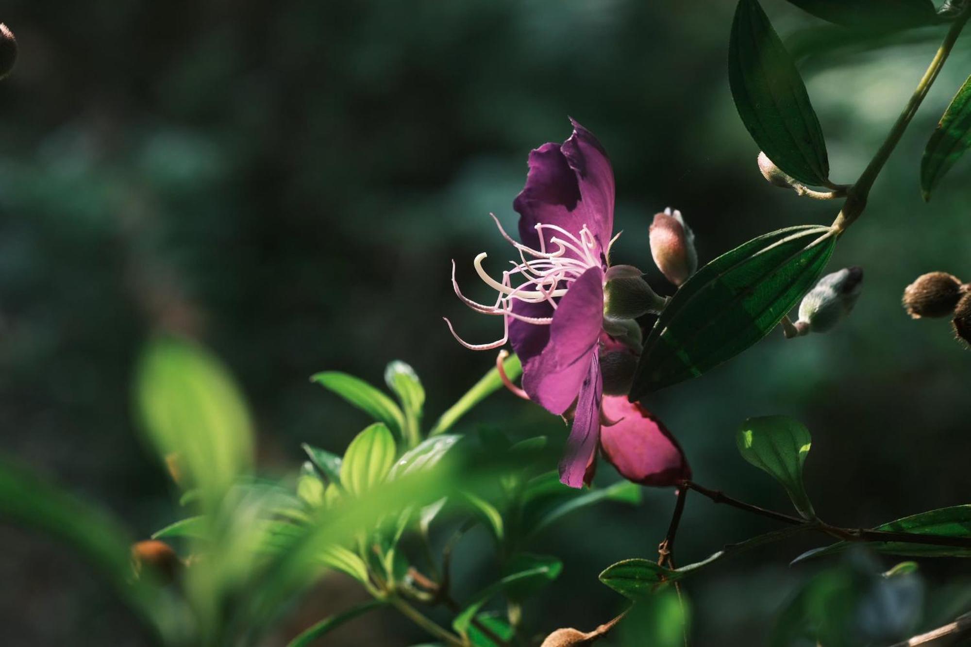 Vườn Nhà Củi Da Lat Exterior foto