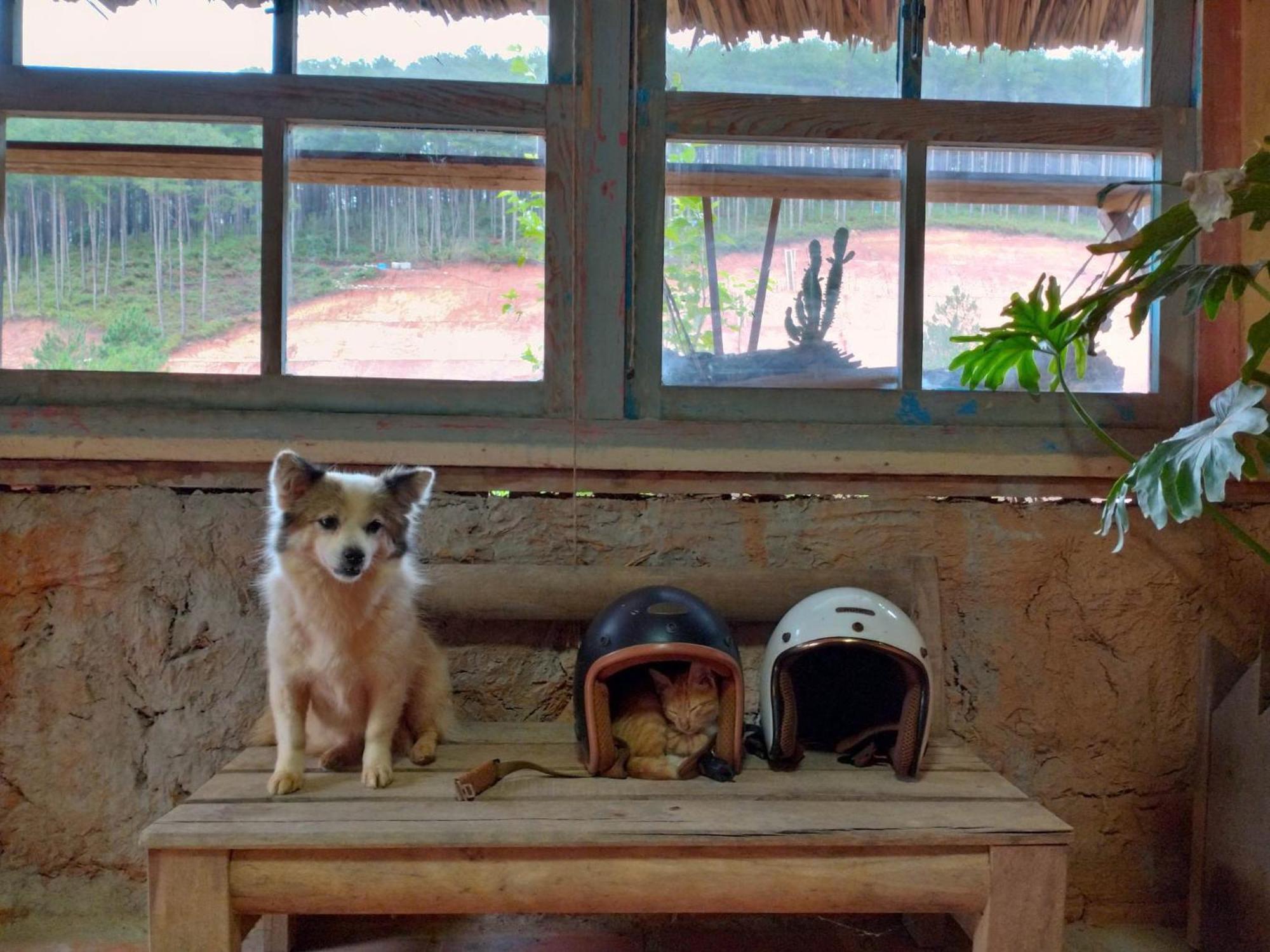 Vườn Nhà Củi Da Lat Exterior foto