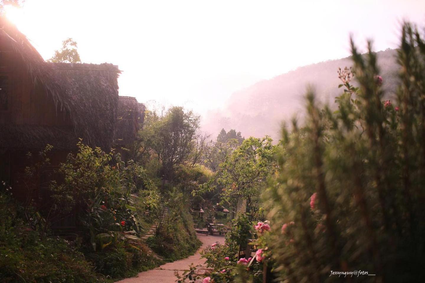 Vườn Nhà Củi Da Lat Exterior foto