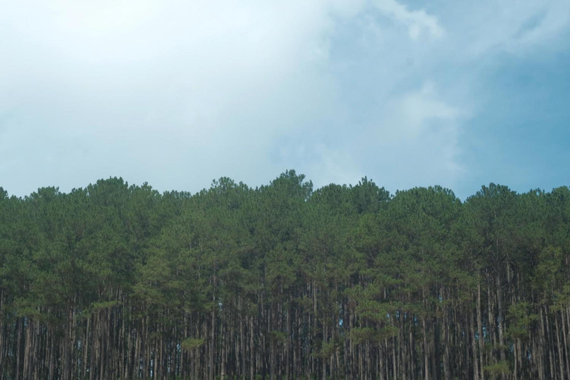 Vườn Nhà Củi Da Lat Exterior foto