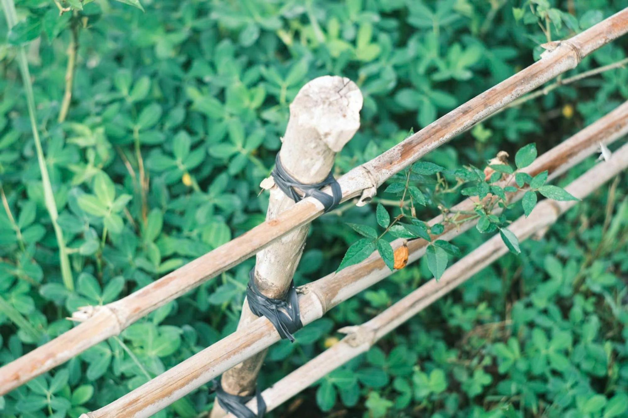 Vườn Nhà Củi Da Lat Exterior foto